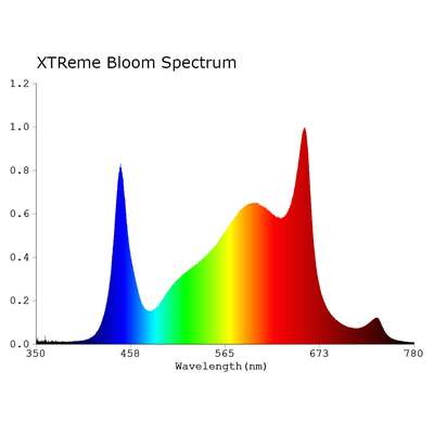 Dual Spectrum - Bloom