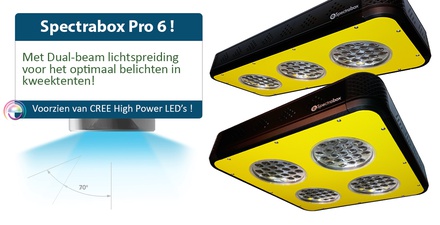 LED Spectrabox Pro serie