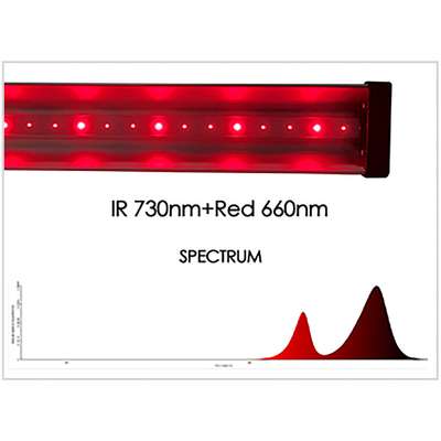 LED Bar - Bloom spectrum