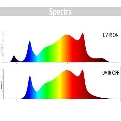 Quantum 480 spectrum