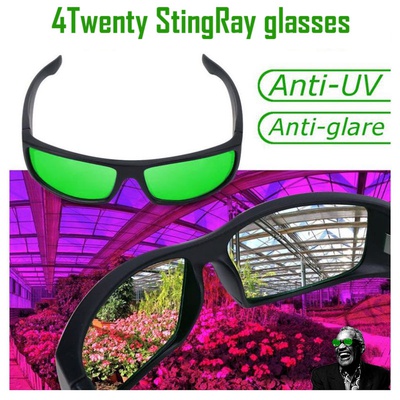 4Twenty StingRay glasses