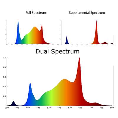 Spectra ScrogMaster Dual