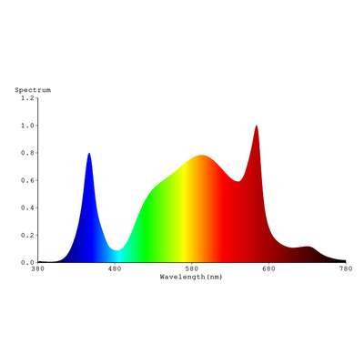 Spectrabox BB Spectrum